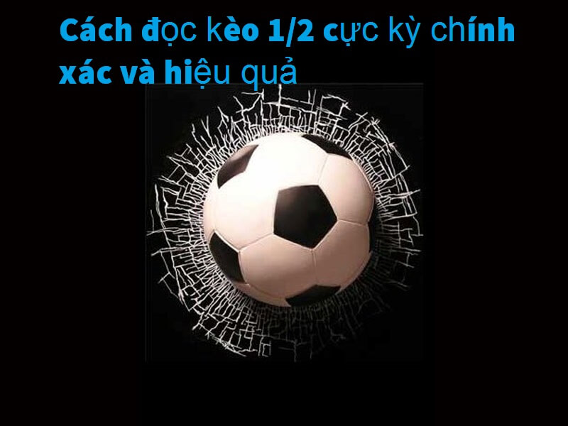 Cách đọc kèo 1/2 hiệu quả