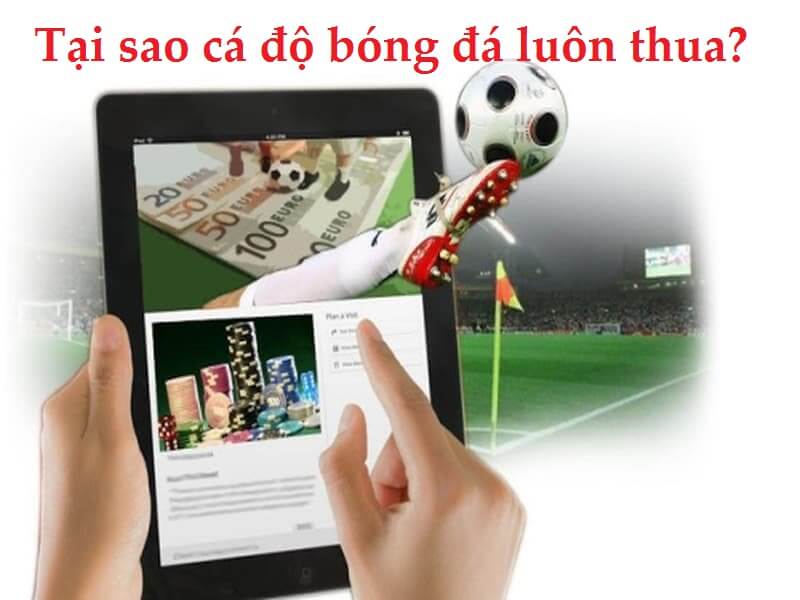 Tại sao cá độ bóng đá luôn thua?