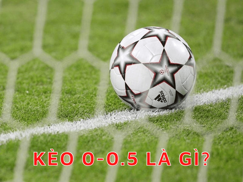 Kèo 0-0.5 là gì