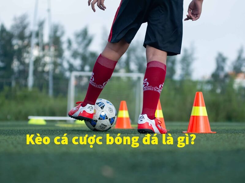 Kèo cá cược bóng đá là gì?