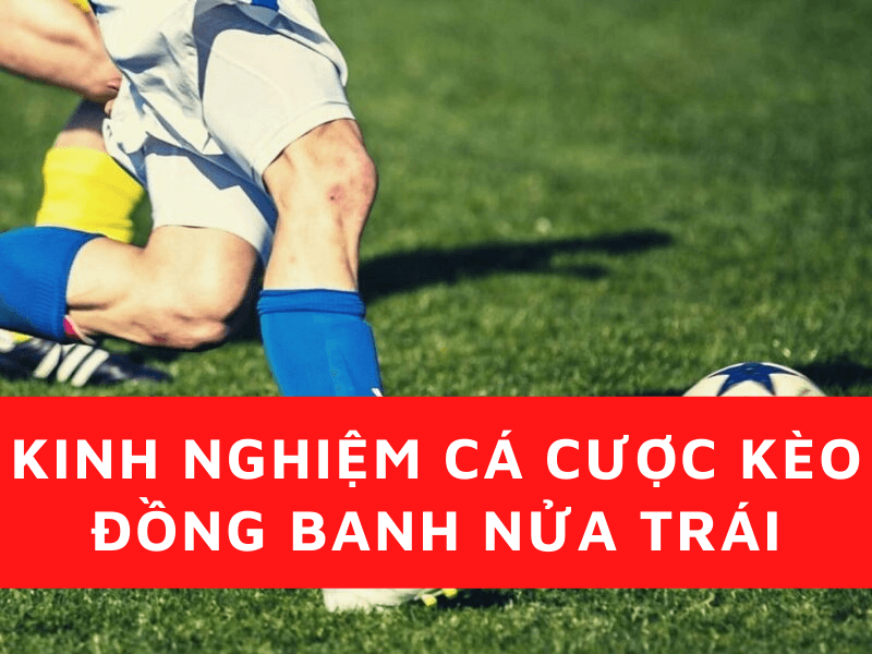 Kinh nghiệm cá cược kèo đồng banh nửa trái