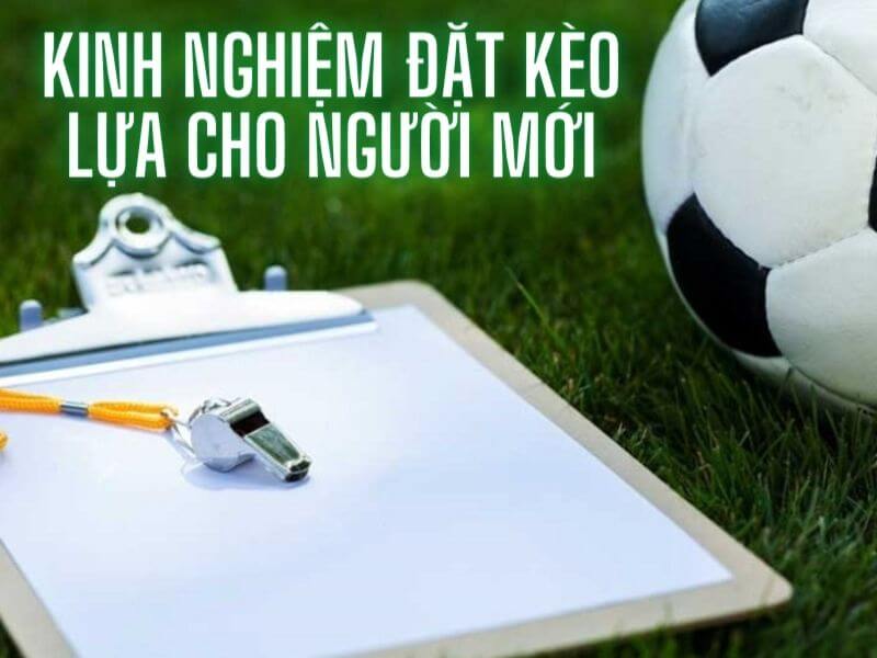 Kinh nghiệm chơi kèo lựa