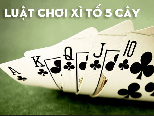 Luật chơi và cách chơi xì tố 5 cây như thế nào?