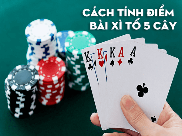 Cách tính điểm bài xì tố 5 cây