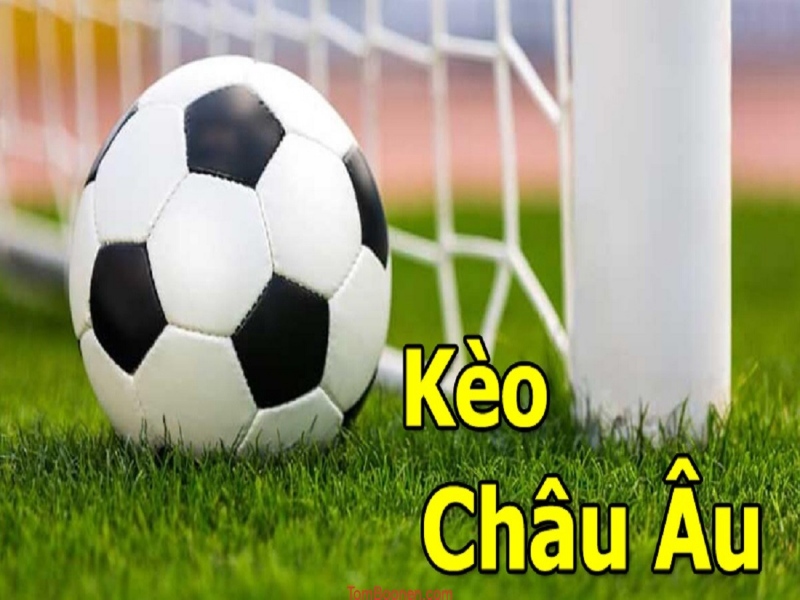 Hướng dẫn cách đọc kèo bóng đá Châu Âu