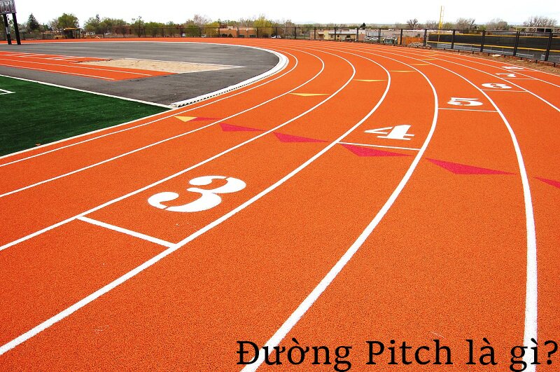 Đường Pitch là gì?