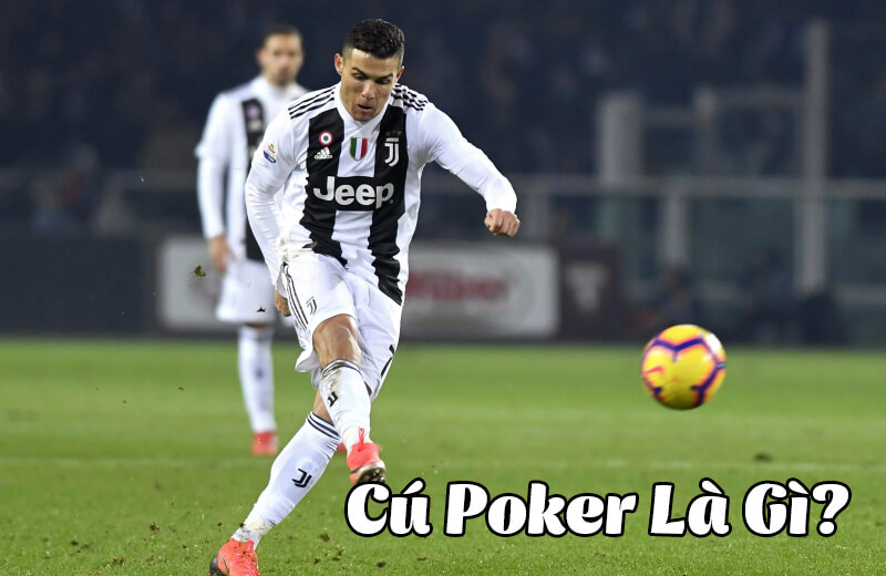 1. Cú Poker là gì