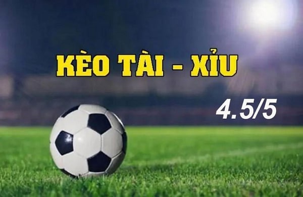 Khám phá kèo cược tài xỉu 4 4.5 là gì được nhiều quan tâm 