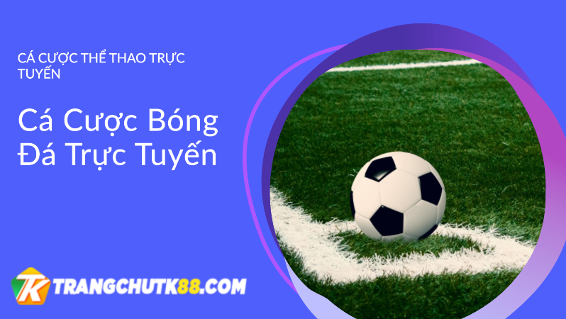  TK88 - thiên đường cá cược không thể bỏ qua