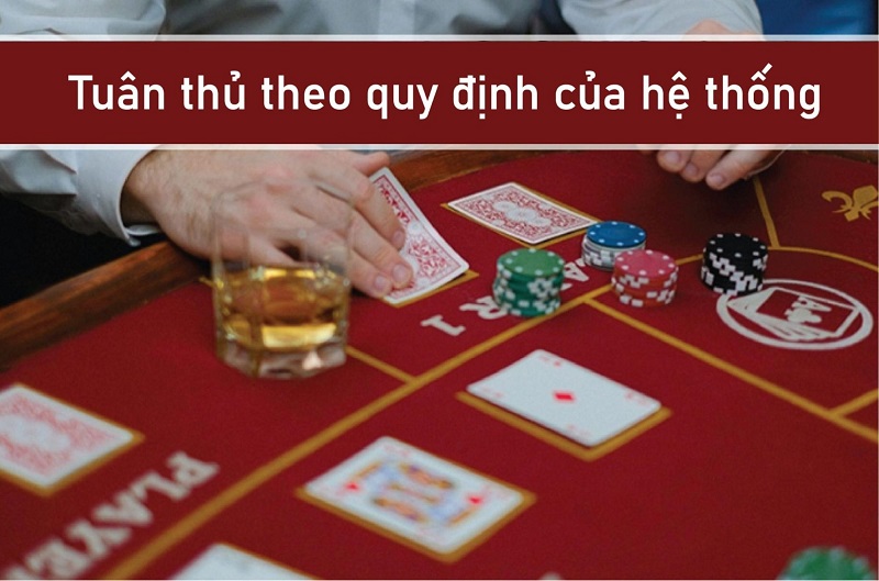 Tuân thủ theo quy định của hệ thống