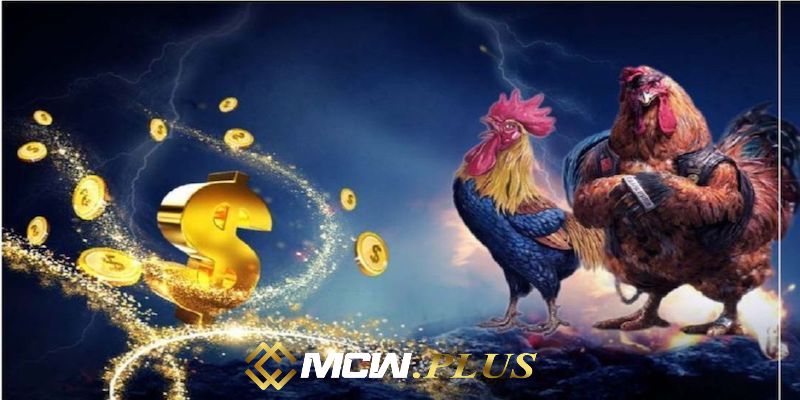 Quá trình làm việc của Phúc bacelona nhà lãnh đạo mcw77