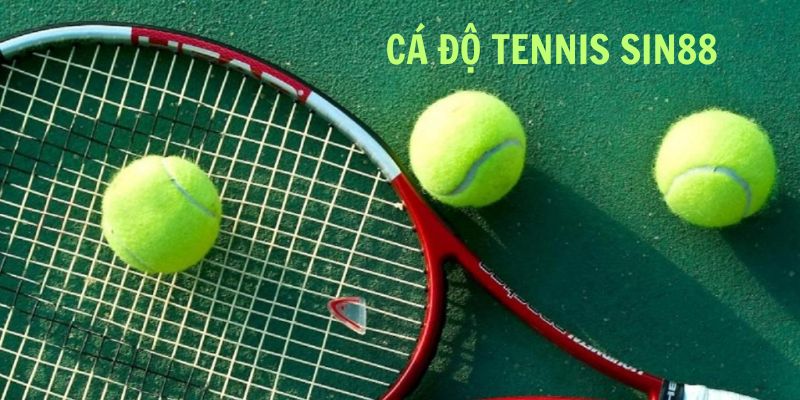 Cá cược quần vợt tennis vô cùng hấp dẫn tại nhà cái Sin88