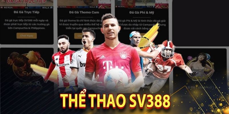 Thể thao tại SV388 cực sôi động