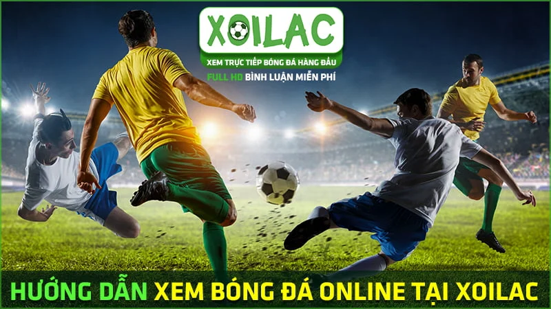 Cách xem bóng đá World Cup trên Xoilac TV