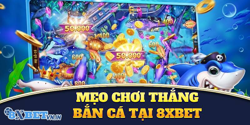 Kinh nghiệm chơi bắn cá đổi thưởng bách thắng tại trang chủ 8XBET