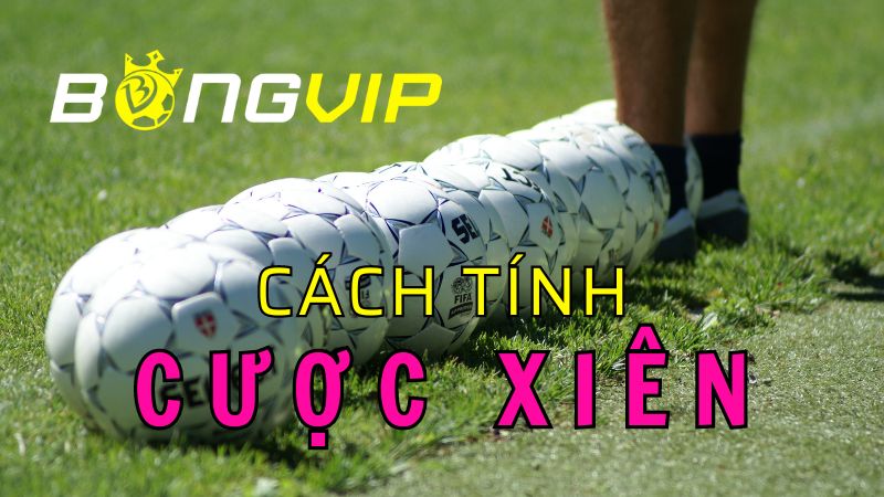 Chi tiết cách tính cược xiên trong cá độ bóng đá